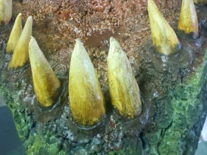 2012-05-22_08-07-55_860